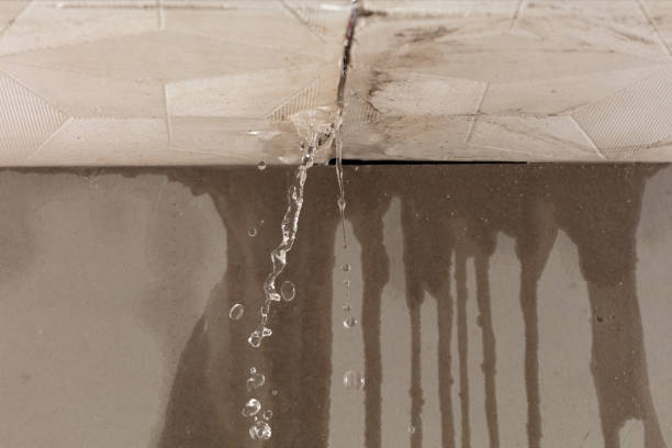 Professional Burst Pipe Cleanup technician working in Memphis, MI